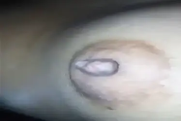 ABG Pacar Sange Remas Pentil Sampe Memek Banjir