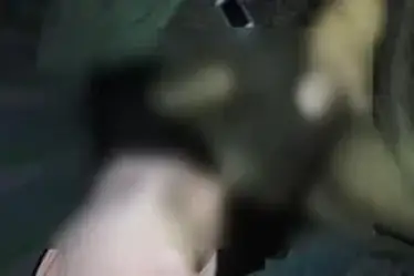 Pasangan Suami Istri Bersetubuh Mesra Kasur