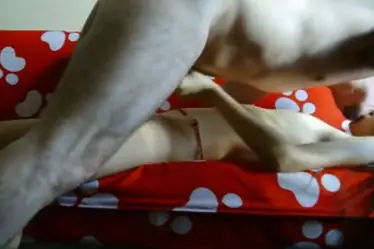 Skandal ABG Jakarta Bispak Hotel Bintang Lima